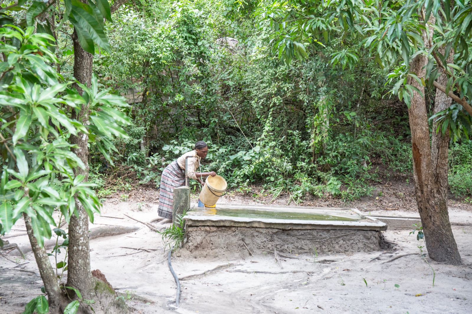 A woman collects water at a community water point in the forest
