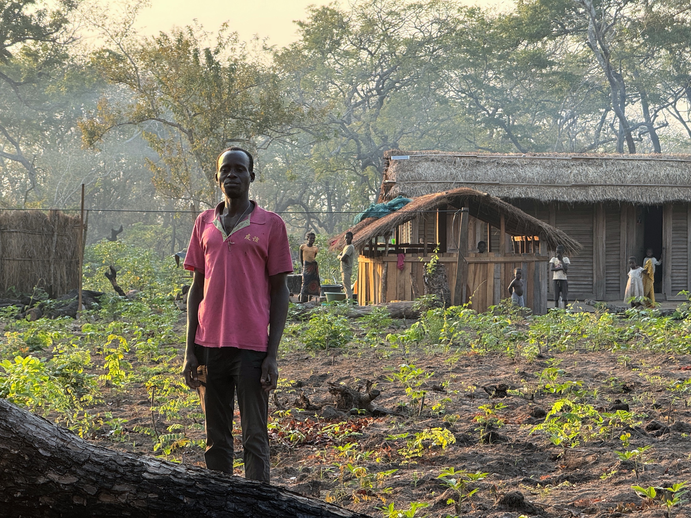A farmer stands in his agroforestry plot in front of his homestead in Cheringoma, Sofala